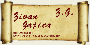 Živan Gajica vizit kartica